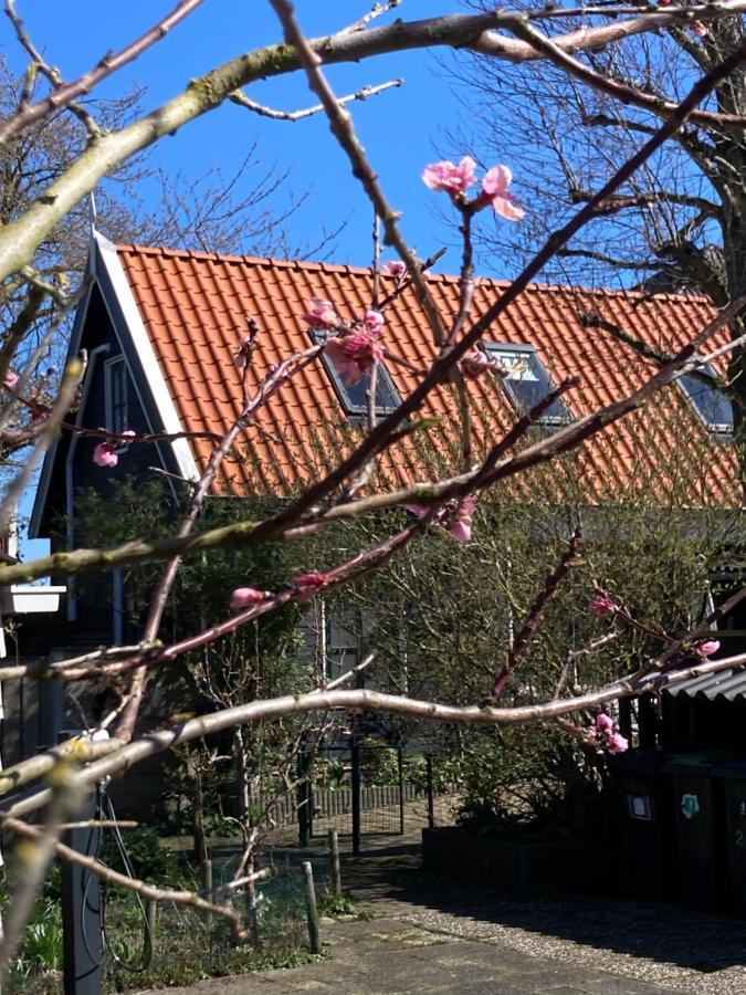 Het Zwaluwnest Lägenhet Koudekerke Exteriör bild